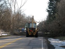 WR250X-2011-02-18-tree-2